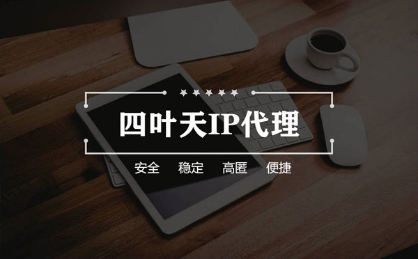 【锡林郭勒代理IP】如何快速搭建代理IP？怎么检查代理的效果？